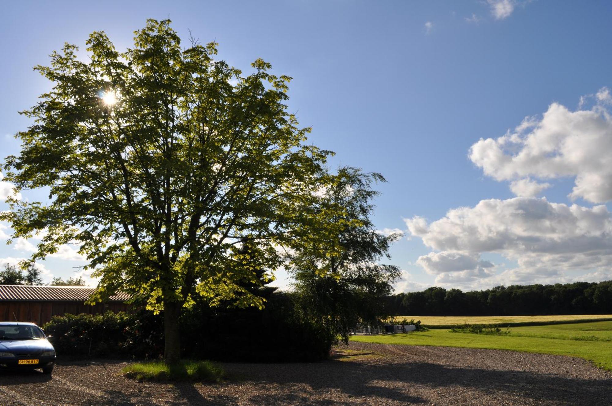 Koebenhovedskov Bed & Breakfast Rødding Exteriör bild