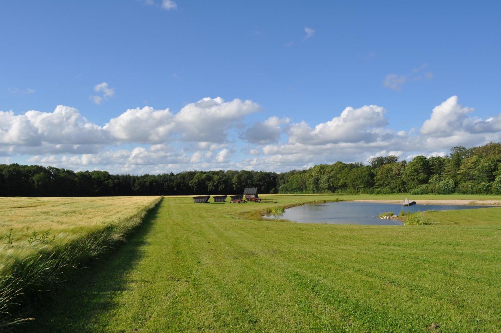 Koebenhovedskov Bed & Breakfast Rødding Exteriör bild