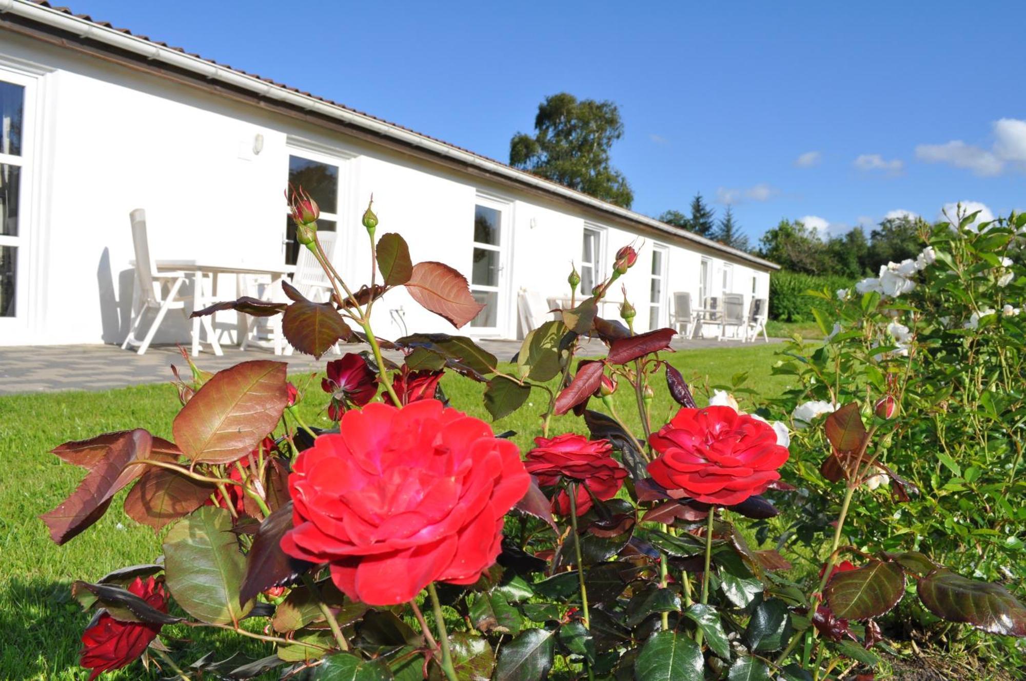 Koebenhovedskov Bed & Breakfast Rødding Exteriör bild